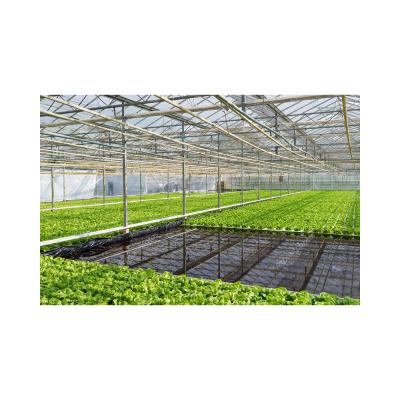 China Hydroponic Vegetable Plant Outlet Saving-water Hydroponics Vegetables PVC Nft System Hydroponic Greenhouse for sale