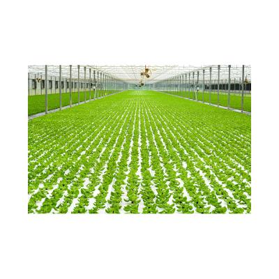 China 2021 Agriculture PVC Dwc Aquaponics High Density Soilless Farm High Density for sale