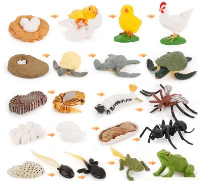 China Real Growth Cycle Simulation Sharks Spiders Insects Rooster Life Knowledge Model Animal Toys for sale