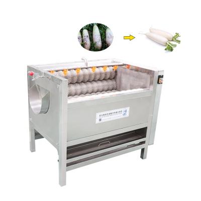 China High Efficiency Easy Operate Cane Carrot Cleaning Machine Cassava Washing Peeling Machine for sale