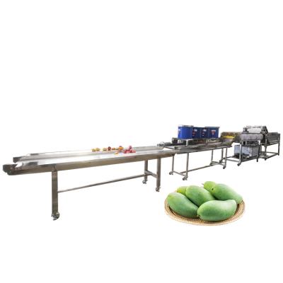 China Snack Plant Fruit Washing Machine For Apricot Mango Processing Line With Equipment Drying And Matching Machines for sale