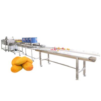 China Industrial Peach Potato Apple Mango Avocado Fruit Snacks Factory Bubble Drying Machine Washing Line for sale