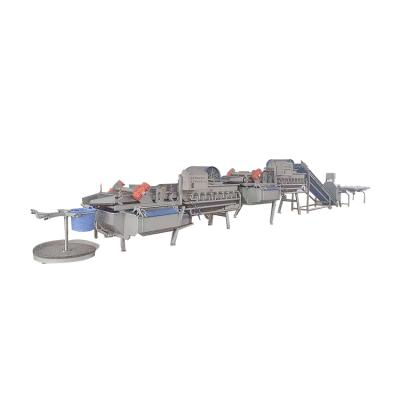 China Easy Operation Vegetable Washing Cycle Vortex Water Production Line Lettuce Salad Cleaning And Drying Seal for sale