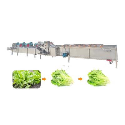 China High efficiency fruit and vegetable washing and drying machine for sale