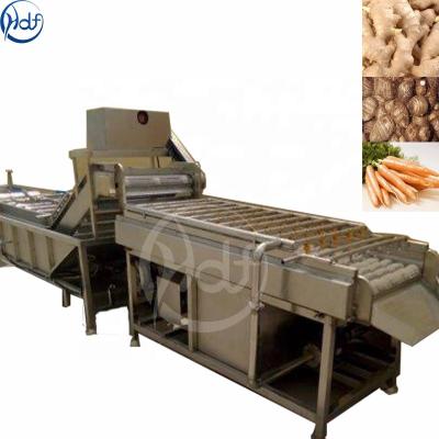 China Automatic Packing Machine Bean Fruit And Vegetable Processing Equipment Clean / Peeled / Dried / Carrot Cutting Processing Lines for sale