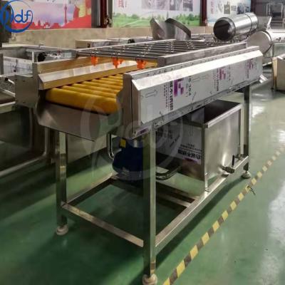 China food & Beverage factory fruit and vegetable processing equipment / wool roller high pressure jet cleaning machine parallel type / brush cleaning for sale