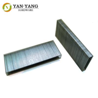 China Chinese supply furniture staples factory price galvanized sofa staples for sale