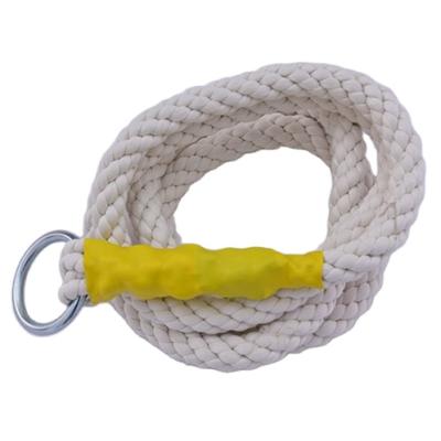 China Nylon66 Adult Children Special Fitness Rope Indoor Outdoor Climbing Rope Physical Training Climbing Rope for sale