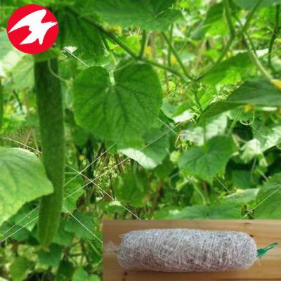 China Polypropylene Best Seller In China Garden Trellis Manufacturer Suppliers For Climbing Plant for sale