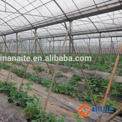 China Easily Assembled 100% PP Plant Trellis Netting For Agriculture/Manufacturing Plant Support With UV for sale