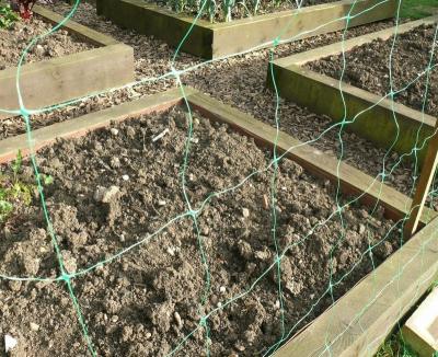 China Reusable PP Green Plastic Support Net Tomato Used Plant Lattice Net for sale