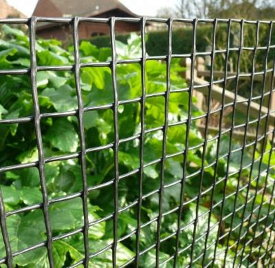 China Easily Assembled High Quality Green Vinyl Coated Wire Mesh Fencing For Garden Protective Fence for sale