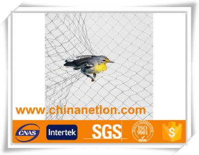 China High Strength 100% HDPE HDPE With Fish Pond Orchard Fruit Tree Anti UV Bird Netting for sale