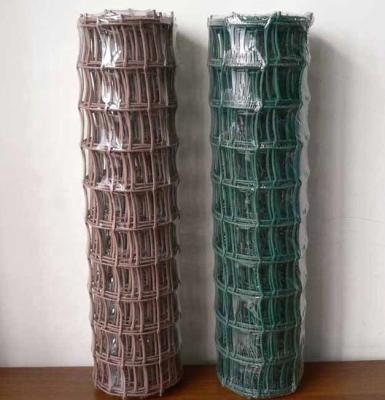 China Easily Compiled Cheap Plastic Garden Farm Fence Designs for sale