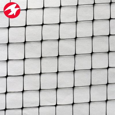 China Cheap Bi Oriented PP Agricultural Mesh Mounting Tomato Support Trellis Net Mesh for sale