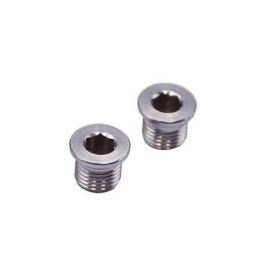 China Hex socket Custom stainless steel hex screw oil plug screw hex screw plug for sale