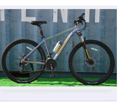 China Aluminum Alloy Grey/yellow Alloy 29inch Mountain bikes free shipping foot bicycle with alloy rims for sale for sale