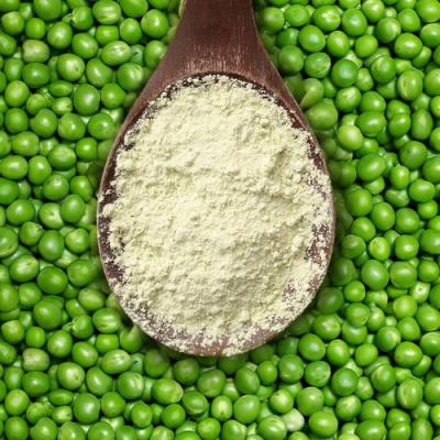 China Hypoallergenic organisches Protein-Pulver-geben hohes Absorptions-Gluten des strengen Vegetariers für Säuglingsnahrung frei zu verkaufen