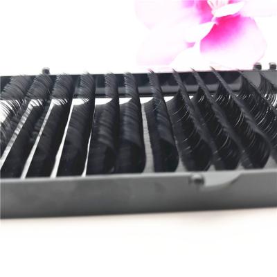 China Delicate Factory Natural Black Silk Mink Eyelash Extensions 0.10 Different Thickness for sale