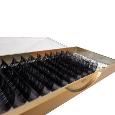 China FACTORY PRICE eyelash extensions private label delicate lash extension for professional salon for sale