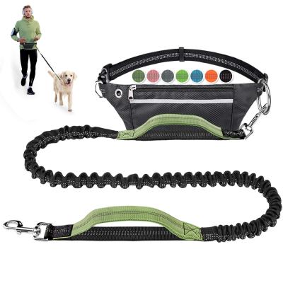 China OEM ODM Wholesale Nylon Custom Reflective Padded Double Hands Dog Training Leash Free Dog Running Size Leash for sale