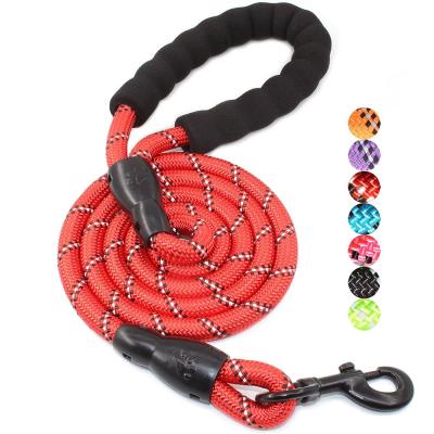 China OEM ODM Wholesale Professional Comfortable Padded Comfortable Padded Dog Collar Thoughtful Durable Custom Strong Leash for sale