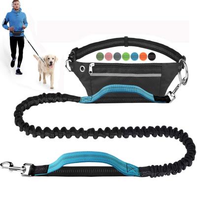 China Hot Sale OEM ODM Amazon Padded Double Hands Dog Size Nylon Free Reflective Dog Leash Hot Selling Working Training Leash for sale