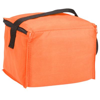 China Recyclable Custom Insulated Boxes Cooler Bag Outdoor Non Woven Picnic Food Cooler Bag for sale