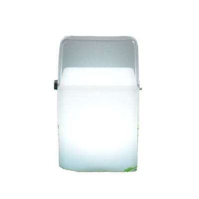China Good Selling Modern Radio Led Portable Bright Night Camping Light for sale