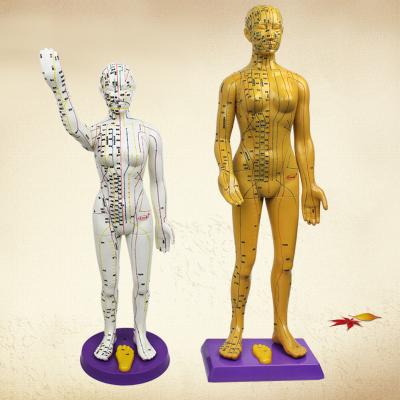 China Eco-friendly ABS Plastic Male And Female Human Body Acupuncture Point Model Pressure Point And Meridians for sale