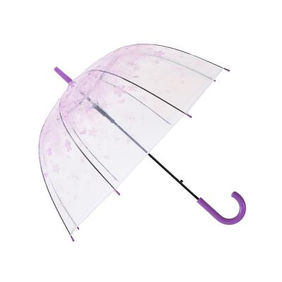 China Wholesales Folding Shaped Large Beautiful Colorful Printed Plastic Transparent Umbrella for sale