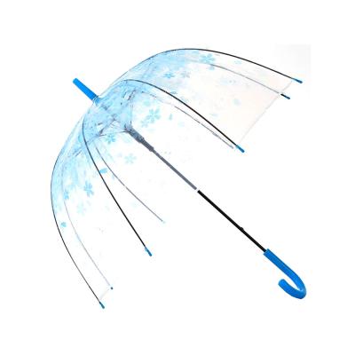 China Outdoor Folding Worlds Printing Dome Classic Japanese Children's Transparent Umbrella for sale