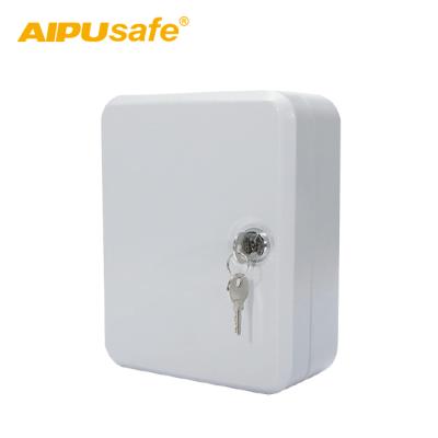 China AIPU Key Safe Box/Safe Box KS-20/20 200*160*80mm Metal&Portable Key Lock/Key Storage Box for sale