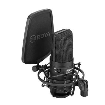 China Large Diaphragm Microphone BOYA BY-M800 Cardioid Condenser MIC Cable Microphone Cut-Off Filter For Live Broadcast Vlog Video Recording Studio Mic for sale