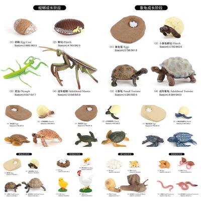 China Animal Models Wholesale Solid PVC Figures Chicken Animal Life Cycle Froy Toy Figures Life Cycle Animal Figurines for sale