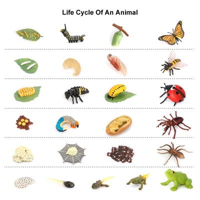 China Animal Models Wholesale Solid PVC Model Animal Figurines Butterfly Froy Spider Life Cycle Figures for sale