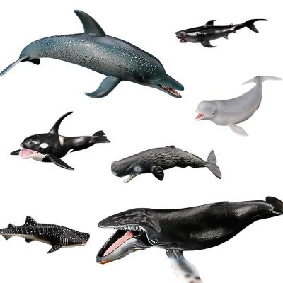 China Sea Life Animal Models Wholesale PVC Solid Simulation White Shark Whale Model Sea Creature Animal Figures Toys for sale