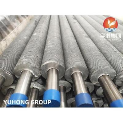 Chine ASME SA249 Tubes TP304L extrudées à nageoire avec tube de base à nageoire droite en aluminium à vendre