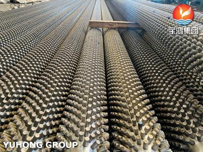 China Stainless Steel Seamless Pipe ASTM A312 TP317L with 11Cr Studded Tube , Fired Heater and Furnace Application for sale