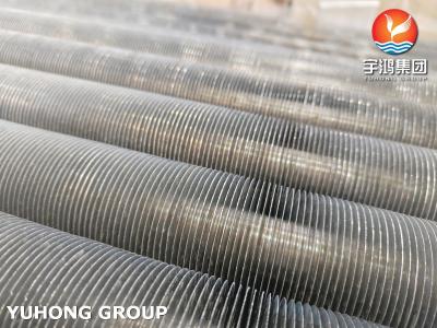 Chine ASTM A269 TP304 Tubes à nageoires extrudées avec nageoires AL1060 pour échangeur de chaleur à vendre