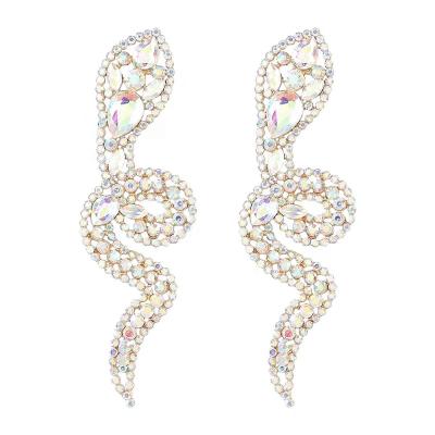 China Fashionable Women Earrings Accessories Novelty Earrings For Party Girls for sale