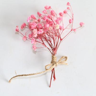 China DREA From Yunnan 9cm Mini Touch Natural Dry Flowers Bouquet For DIY Craft Party Wedding Card Decoration for sale