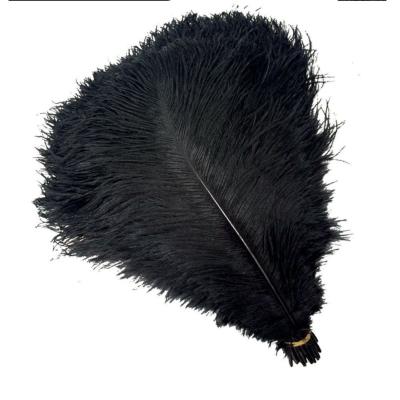 China DREA CONTACT DREA Natural Cheap Natural Large Ostrich Feathers Bulk 15-80cm For Wedding Party Decoration for sale