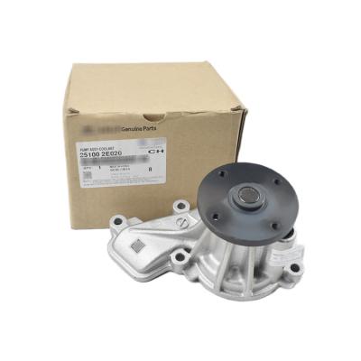 China High Quality Car 2016-2021 2.0L Water Pump 251002E020 Car Part Engine Spare Parts 25100-2E020 for sale