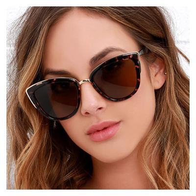 China Retro Ladies Sunglasses Fashion Cat Eye Glasses Frame Glass Leopard Print Plastic Sunglasses Personality INS Style for sale