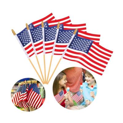 China Cheap Custom Wholesale American Outdoor Parade Flag Protest Hand FLYING Waving Waving Flag for sale