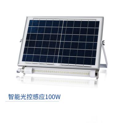 China Factory hot sale high quality 30w 60w solar LANDSCAPE led flood light for sale