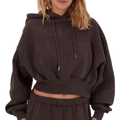 China Anti-Pilling 2020 Winter Crop Top Gym Jogger Anti-Pilling Hoodie Top Oversized Sweatshirt Sets Women's Clothing for sale