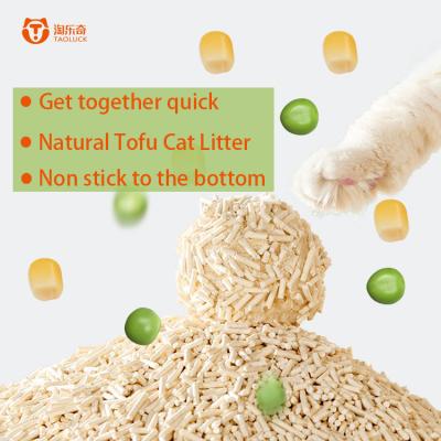 China Dia 1,5 mm 1,8 mm 2,0 mm Litter de gato Dofu Eco compostable Litter de gato agrupado en venta