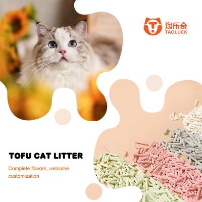 China 100% de tofu natural de basura de gato, bloqueo de olor, aglomeración de basura de gato biodegradable en venta